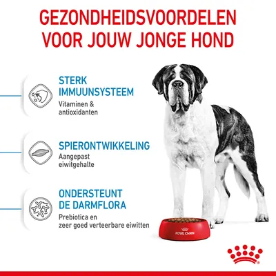 Gezondheidsvoordelen voor jonge hond: sterk immuunsysteem (vitaminen & antioxidanten), spierontwikkeling (aangepast eiwitgehalte), ondersteunt de darmflora (prebiotica, verteerbare eiwitten).