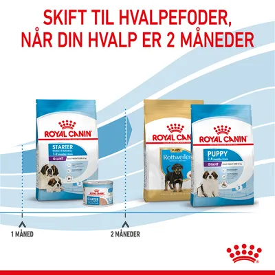Royal Canin hundefoderposer og dåse. Tekst: Skift til hvalpefoder, når din hvalp er 2 måneder. Starter 1–2 months/giant, Puppy 2–8 months/giant, Rottweiler Puppy.