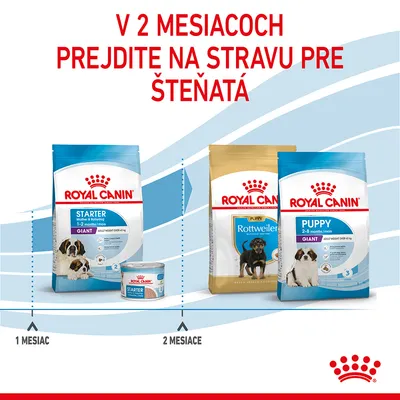 V 2 mesiacoch prejdite na stravu pre šteňatá. Royal Canin Starter Giant 1–2 mesiace, od 2 mesiacov Royal Canin Puppy Rottweiler a Puppy Giant. Zobrazené balenia krmiva.