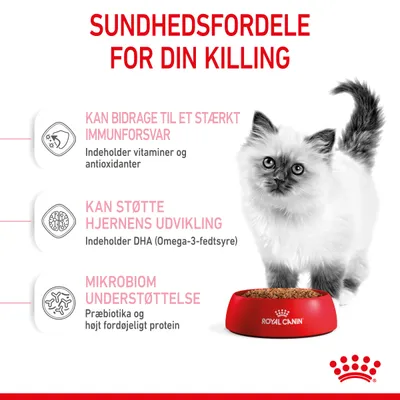 Sundhedsfordele for din killing: stærkt immunforsvar med vitaminer og antioxidanter, støtte til hjernens udvikling med DHA, mikrobiom understøttelse med præbiotika og fordøjeligt protein.