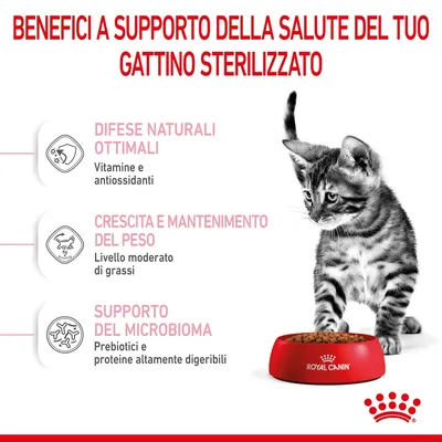 Benefici per gattino sterilizzato: difese naturali ottimali (vitamine e antiossidanti), crescita e mantenimento del peso (livello moderato di grassi), supporto del microbioma (prebiotici, proteine digeribili).