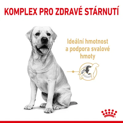 KOMPLEX PRO ZDRAVÉ STÁRNUTÍ. Ideální hmotnost a podpora svalové hmoty. Obrázek psa s ikonou svalů.