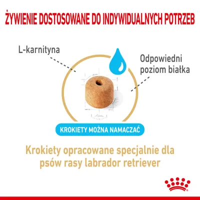 ŻYWIENIE DOSTOSOWANE DO INDYWIDUALNYCH POTRZEB, L-karnityna, Odpowiedni poziom białka, KROKIETY MOŻNA NAMACZAĆ, Krokiety opracowane specjalnie dla psów rasy labrador retriever