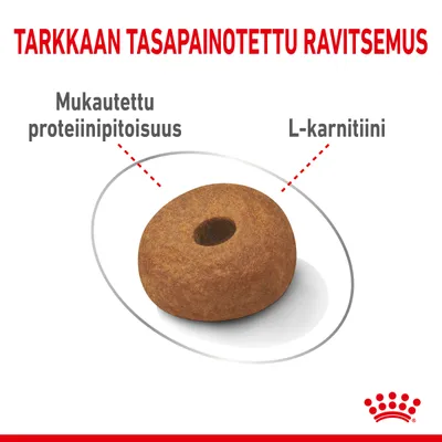 TARKKAAN TASAPAINOTETTU RAVITSEMUS, Mukautettu proteiinipitoisuus, L-karnitiini. Yksi ruskea nappulamuotoinen kuivaruokanappula keskellä.