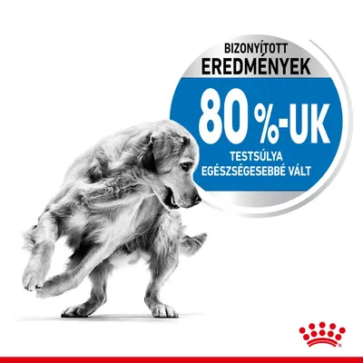BIZONYÍTOTT EREDMÉNYEK 80%-UK TESTSÚLYA EGÉSZSÉGESEBBÉ VÁLT. Royal Canin logó látható a képen.