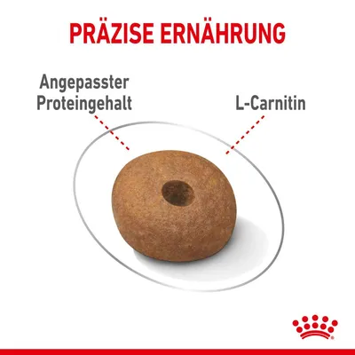 Kroketten mit angepasstem Proteingehalt und L-Carnitin für präzise Ernährung. Text: Präzise Ernährung, Angepasster Proteingehalt, L-Carnitin.