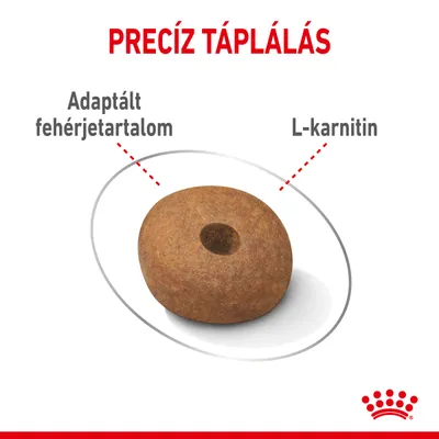 Precíz táplálás, adaptált fehérjetartalom, L-karnitin. Középen egy táp szemcse látható. Royal Canin márkajelzés alul.