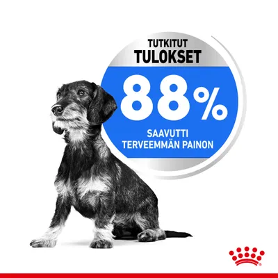 Tutkitut tulokset: 88 % saavutti terveemmän painon