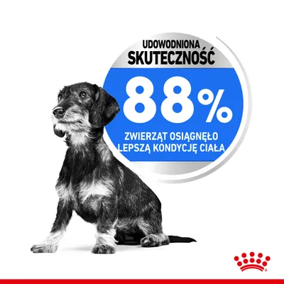 Udowodniona skuteczność 88%. 88% zwierząt osiągnęło lepszą kondycję ciała.