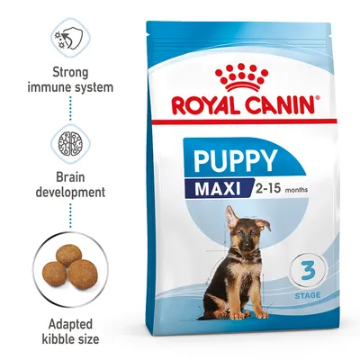 Royal Canin Puppy Maxi 2-15 months, stage 3. Features: strong immune system, brain development, adapted kibble size. Image shows product packaging and three round kibbles.