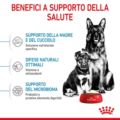 Benefici a supporto della salute: supporto della madre e del cucciolo, difese naturali ottimali, supporto del microbioma. Ciotola Royal Canin davanti a cane.