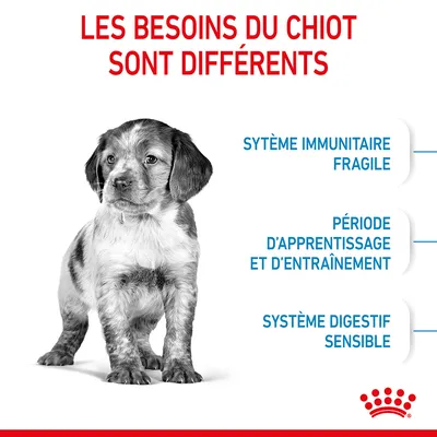 Les besoins du chiot sont différents : système immunitaire fragile, période d’apprentissage et d’entraînement, système digestif sensible. Marque Royal Canin visible.