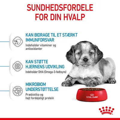 Sundhedsfordele for din hvalp: stærkt immunforsvar med vitaminer og antioxidanter, støtte til hjernens udvikling med DHA, mikrobiom understøttelse med præbiotika og protein. Royal Canin skål.