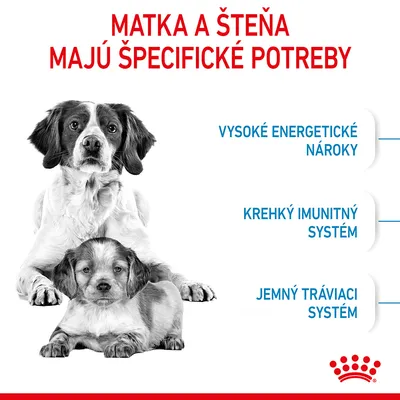 Matka a šteňa majú špecifické potreby: vysoké energetické nároky, krehký imunitný systém, jemný tráviaci systém. Značka Royal Canin.
