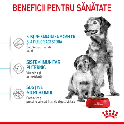 Beneficii pentru sănătate: susține sănătatea mamelor și a puilor acestora, sistem imunitar puternic, susține microbiomul. Royal Canin. Imagine cu doi câini și bol roșu.