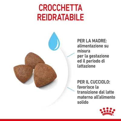 CROCCHETTA REIDRATABILE. PER LA MADRE: alimentazione su misura per la gestazione ed il periodo di lattazione. PER IL CUCCIOLO: favorisce la transizione dal latte materno all’alimento solido.