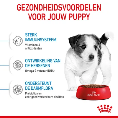 Gezondheidsvoordelen voor jouw puppy: sterk immuunsysteem (vitaminen & antioxidanten), ontwikkeling van de hersenen (omega-3 vetzuur DHA), ondersteunt de darmflora (prebiotica, eiwitten).