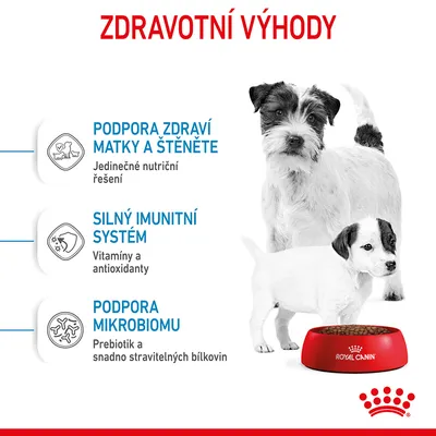 ZDRAVOTNÍ VÝHODY: Podpora zdraví matky a štěněte, silný imunitní systém, podpora mikrobiomu. Royal Canin miska s granulemi, dva psi.
