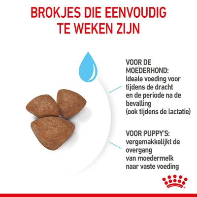 Brokjes die eenvoudig te weken zijn. Voor de moederhond: ideale voeding tijdens dracht en na bevalling (ook lactatie). Voor puppy’s: vergemakkelijkt overgang van moedermelk naar vaste voeding.