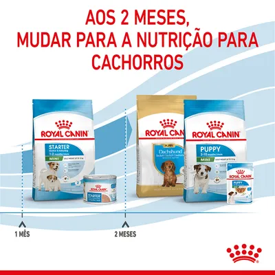 Aos 2 meses, mudar para a nutrição para cachorros. Produtos Royal Canin Starter para 1 mês e Puppy/Dachshund para 2 meses. Embalagens visíveis com cães ilustrados.