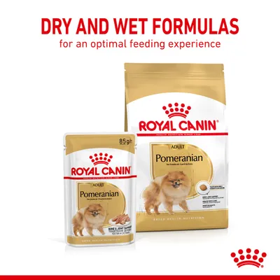 ROYAL CANIN ADULT Pomeranian ξηρή και υγρή τροφή για σκύλους, συσκευασίες 85g και μεγαλύτερη. Ορατό κείμενο στα αγγλικά: DRY AND WET FORMULAS for an optimal feeding experience.