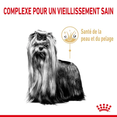 Texte visible : COMPLEXE POUR UN VIEILLISSEMENT SAIN, Santé de la peau et du pelage. Illustration d’un chien à poil long avec un schéma sur la santé du pelage.