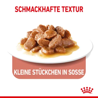 Schmackhafte Textur, kleine Stückchen in Sosse. Saksankielinen teksti: maukas koostumus, pieniä paloja kastikkeessa. Kuvassa lautasella kastikkeessa olevia lihapaloja.