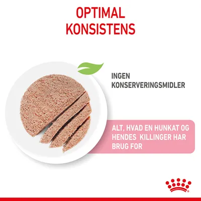 Optimal konsistens. Ingen konserveringsmidler. Alt, hvad en hunkat og hendes killinger har brug for. Billede af skiveskåret vådfoder på tallerken.
