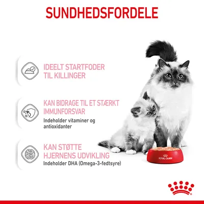 SUNDHEDSFORDELE: Ideelt startfoder til killinger. Kan bidrage til et stærkt immunforsvar, indeholder vitaminer og antioxidanter. Kan støtte hjernens udvikling, indeholder DHA (Omega-3-fedtsyre).