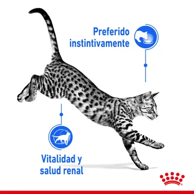 Gato saltando con textos: 'Preferido instintivamente' y 'Vitalidad y salud renal'. Logotipo de Royal Canin en la esquina inferior derecha.
