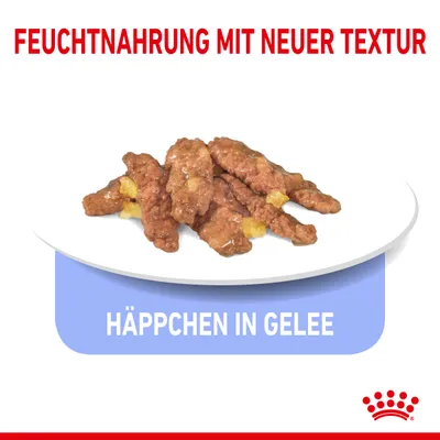 Feuchtnahrung mit neuer Textur. Häppchen in Gelee auf weißem Teller, Royal Canin Logo sichtbar.