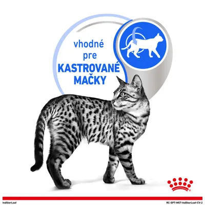 vhodné pre KASTROVANÉ MAČKY