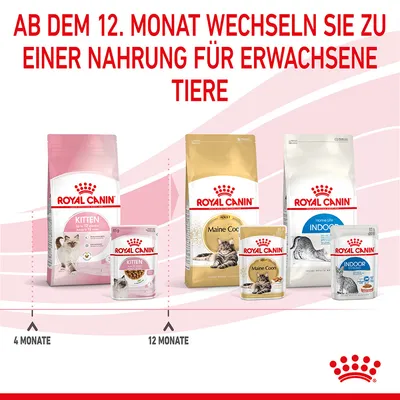 Royal Canin Empfehlung: Ab dem 12. Monat von Kitten-Nahrung zu Adult-Nahrung wechseln. Produkte für Maine Coon und Indoor-Katzen sichtbar.