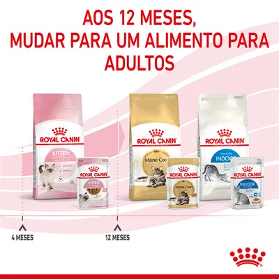 Aos 12 meses, mudar para um alimento para adultos. Produtos Royal Canin Kitten até 12 meses e Royal Canin Maine Coon Adult e Indoor a partir dos 12 meses. Linha do tempo com embalagens visíveis.