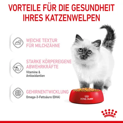Vorteile für die Gesundheit von Katzenwelpen: Weiche Textur für Milchzähne, starke Abwehrkräfte mit Vitaminen & Antioxidantien, Gehirnentwicklung durch Omega-3-Fettsäure (DHA).