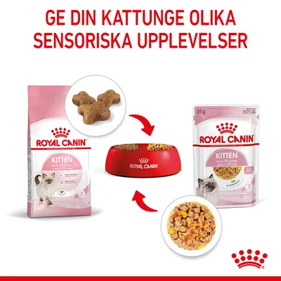 Royal Canin Kitten i gelé