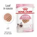 Royal Canin Kitten in Loaf