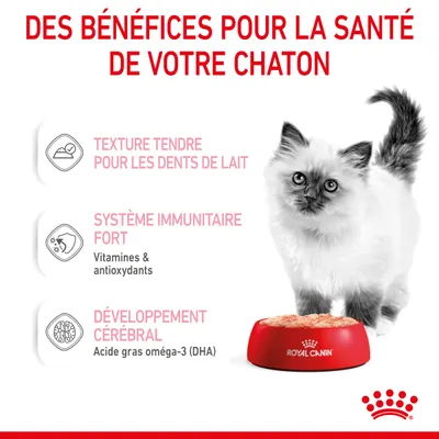 Des bénéfices pour la santé de votre chaton : texture tendre pour les dents de lait, système immunitaire fort (vitamines & antioxydants), développement cérébral (oméga-3 DHA). Royal Canin.