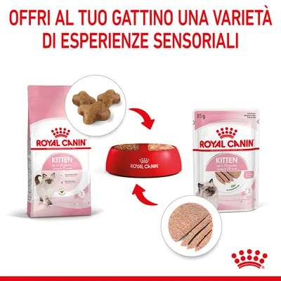 Royal Canin Kitten fino a 12 mesi: crocchette in sacchetto, bocconcini umidi in busta da 85 g e ciotola rossa. Testo: Offri al tuo gattino una varietà di esperienze sensoriali.