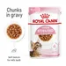 Royal Canin Sterilised Kitten in Gravy