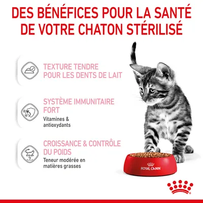 Des bénéfices pour la santé de votre chaton stérilisé : texture tendre pour les dents de lait, système immunitaire fort, croissance et contrôle du poids. Royal Canin.