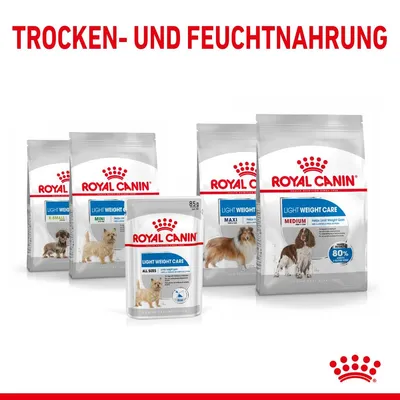Royal Canin Light Weight Care Trocken- und Feuchtnahrung für Hunde in verschiedenen Grössen: X-Small, Mini, Medium, Maxi, All Sizes. Verpackungen mit Produktdetails sichtbar.