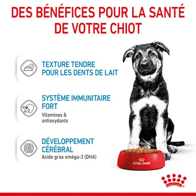 Des bénéfices pour la santé de votre chiot : texture tendre pour les dents de lait, système immunitaire fort (vitamines & antioxydants), développement cérébral (oméga-3 DHA). Royal Canin.