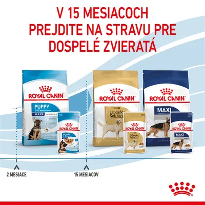 V 15 mesiacoch prejdite na stravu pre dospelé zvieratá. Royal Canin Puppy od 2 do 15 mesiacov, potom Royal Canin Adult Labrador Retriever a Maxi. Zobrazené balenia krmiva.