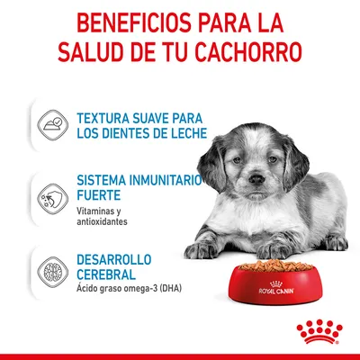 Beneficios para la salud de tu cachorro: textura suave para los dientes de leche, sistema inmunitario fuerte con vitaminas y antioxidantes, desarrollo cerebral con DHA. Royal Canin.