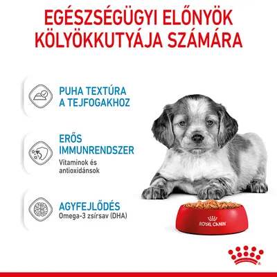 Egészségügyi előnyök kölyökkutyája számára: puha textúra a tejfogakhoz, erős immunrendszer vitaminokkal és antioxidánsokkal, agyfejlődés omega-3 zsírsavval (DHA). Royal Canin tál eledellel.