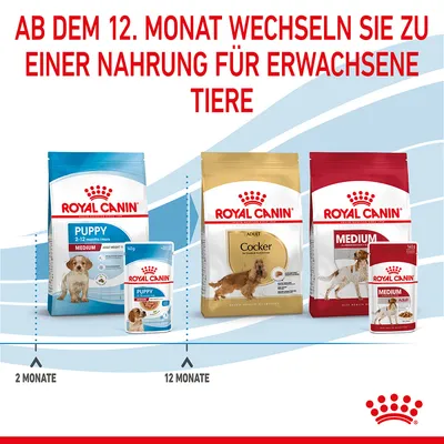 Texte en allemand : « Ab dem 12. Monat wechseln Sie zu einer Nahrung für erwachsene Tiere ». Sacs et boîtes Royal Canin Puppy Medium, Adult Cocker, Medium Adult, avec repères 2 Monate et 12 Monate.
