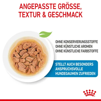 Texte en allemand : 'Angepasste Größe, Textur & Geschmack', 'Ohne Konservierungsstoffe, ohne künstliche Aromen, ohne künstliche Farbstoffe', 'Stellt auch besonders anspruchsvolle Hundegaumen zufrieden'.