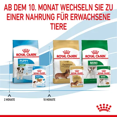 Royal Canin Puppy 2–10 Monate, Adult Dachshund et Mini Adult. Texte en allemand : à partir du 10e mois, passer à une alimentation adulte. Indications 2 Monate, 10 Monate.