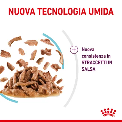NUOVA TECNOLOGIA UMIDA. Nuova consistenza in STRACCETTI IN SALSA, immagine di bocconcini umidi in salsa. Marchio Royal Canin visibile.